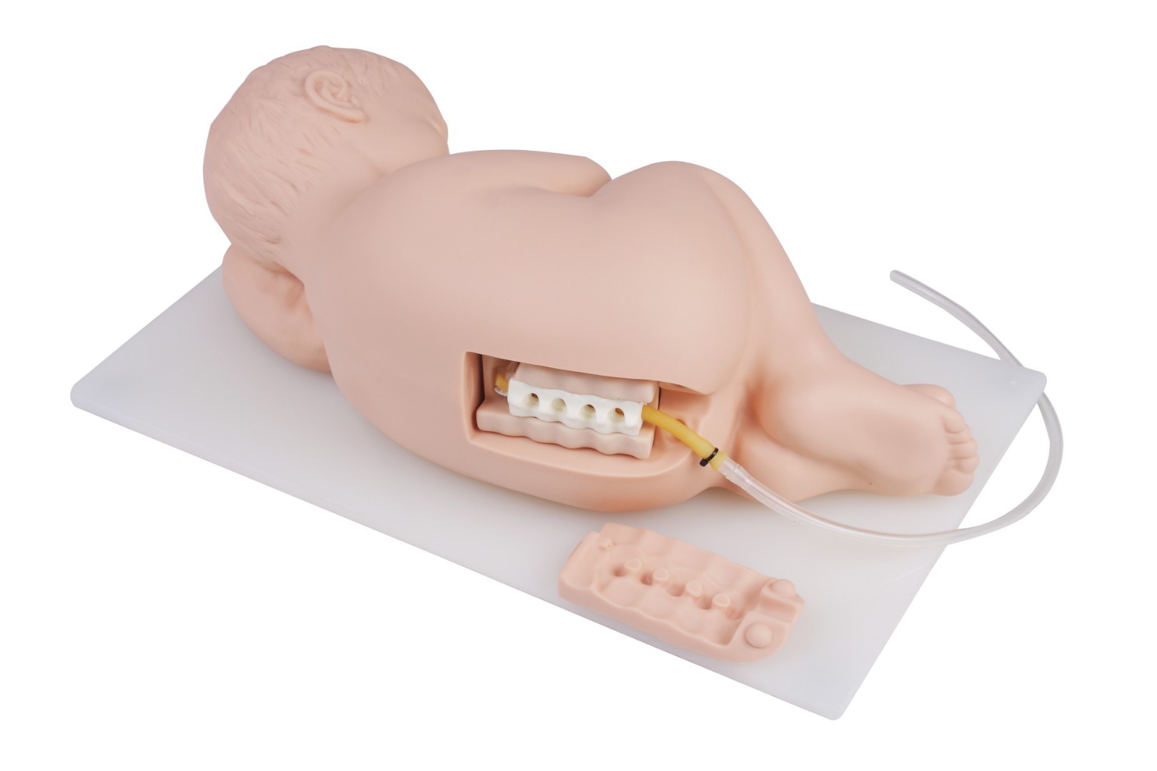 Тренажер люмбальной пункции младенца (DM-PS6300)