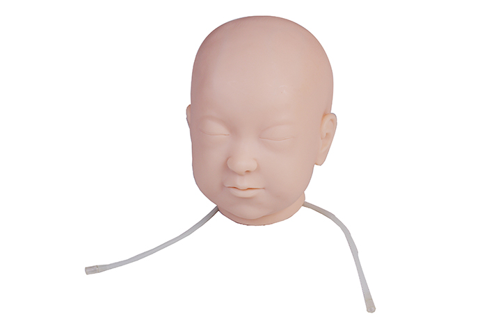 Фантом головы младенца для внутривенных инъекций (DM-PS6601)