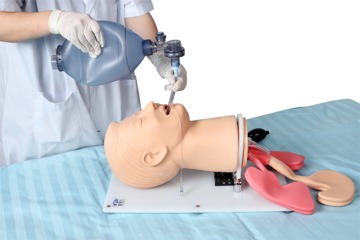 Тренажер проходимости дыхательных путей (DM-FA6251)
