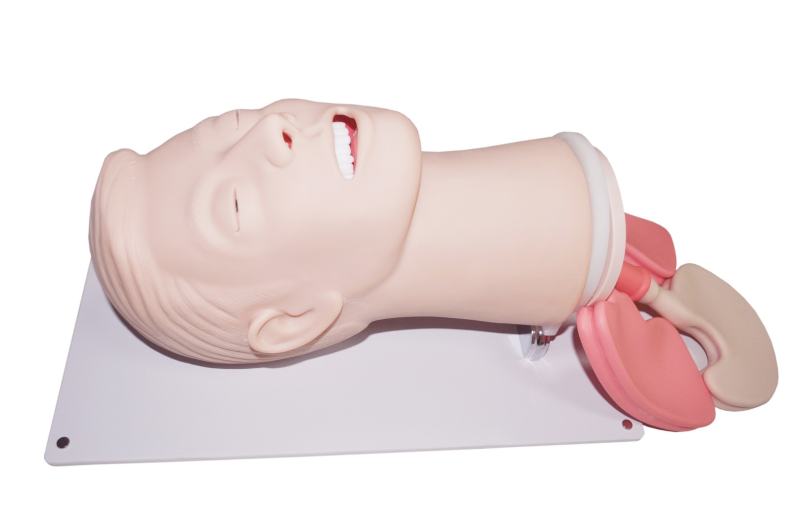 Тренажер проходимости дыхательных путей (DM-FA6251)