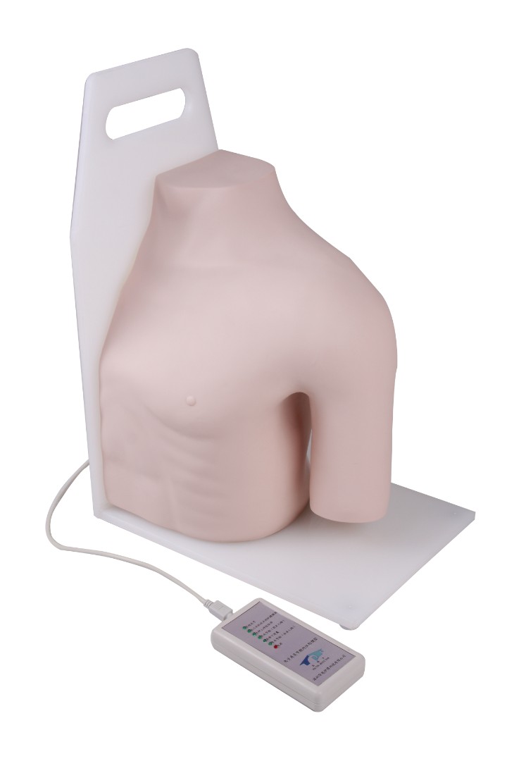 Тренажер инъекций в плечевой сустав (DM-CS6262)