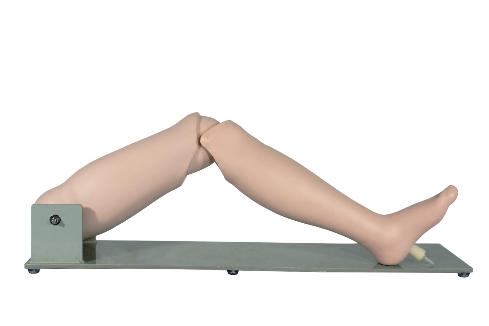 Фантом ноги для пункции берцовой кости (DM-CS6238)