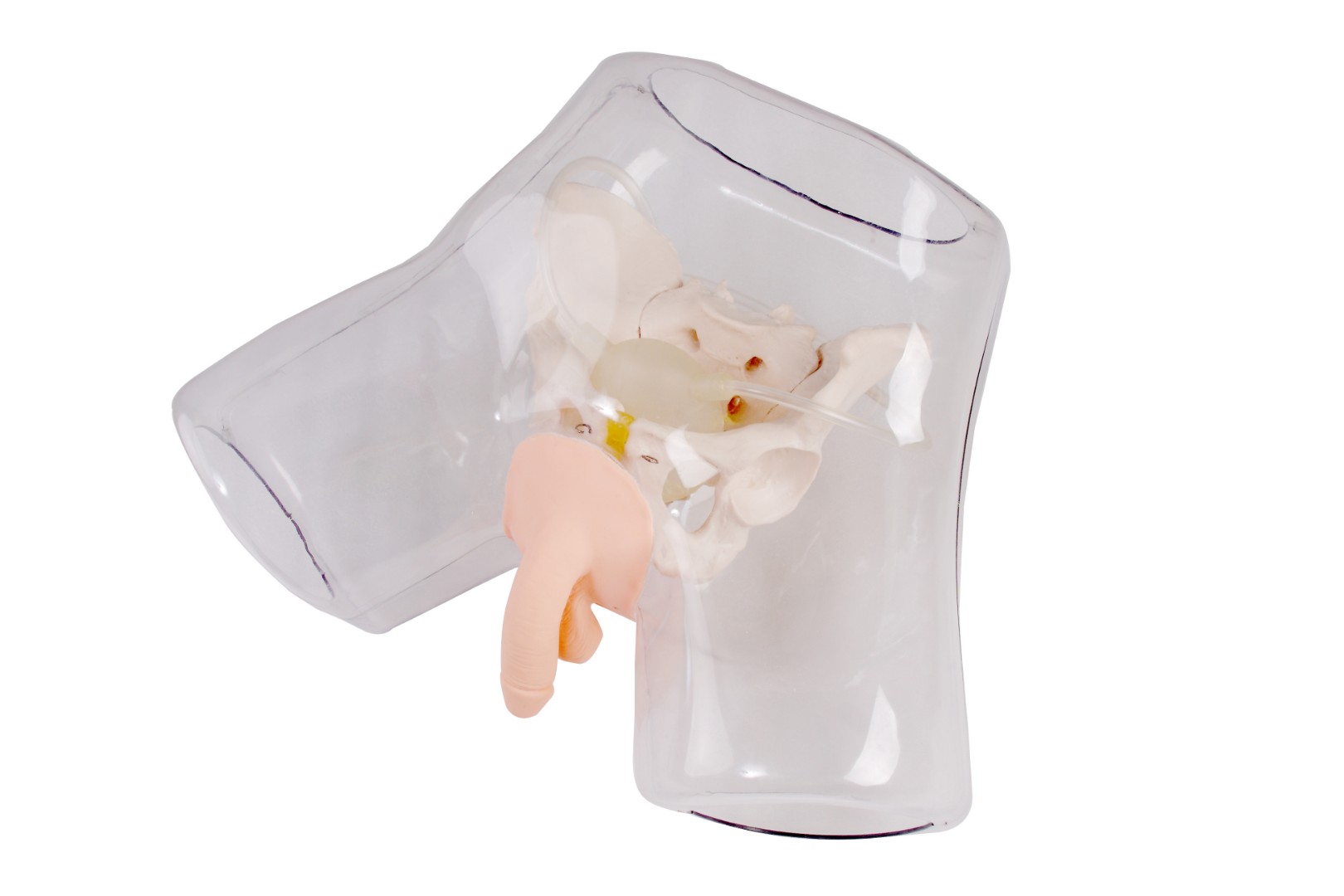 DM-NS6030 Тренажер катетеризации мочевого пузыря у мужчин прозрачный