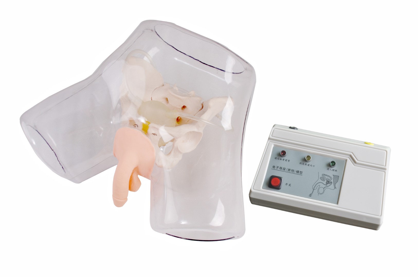 DM-NS6030A Тренажер катетеризации мочевого пузыря у мужчин с контролером