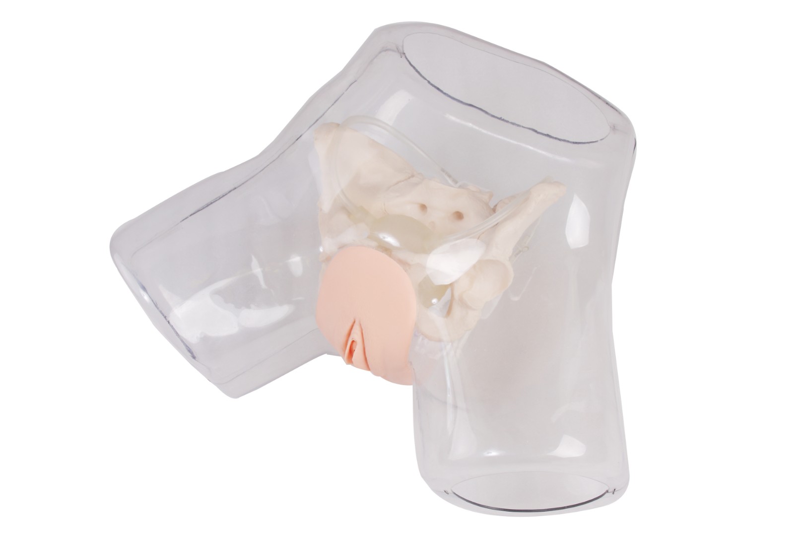 DM-NS6031 Тренажер катетеризации мочевого пузыря у женщин прозрачный