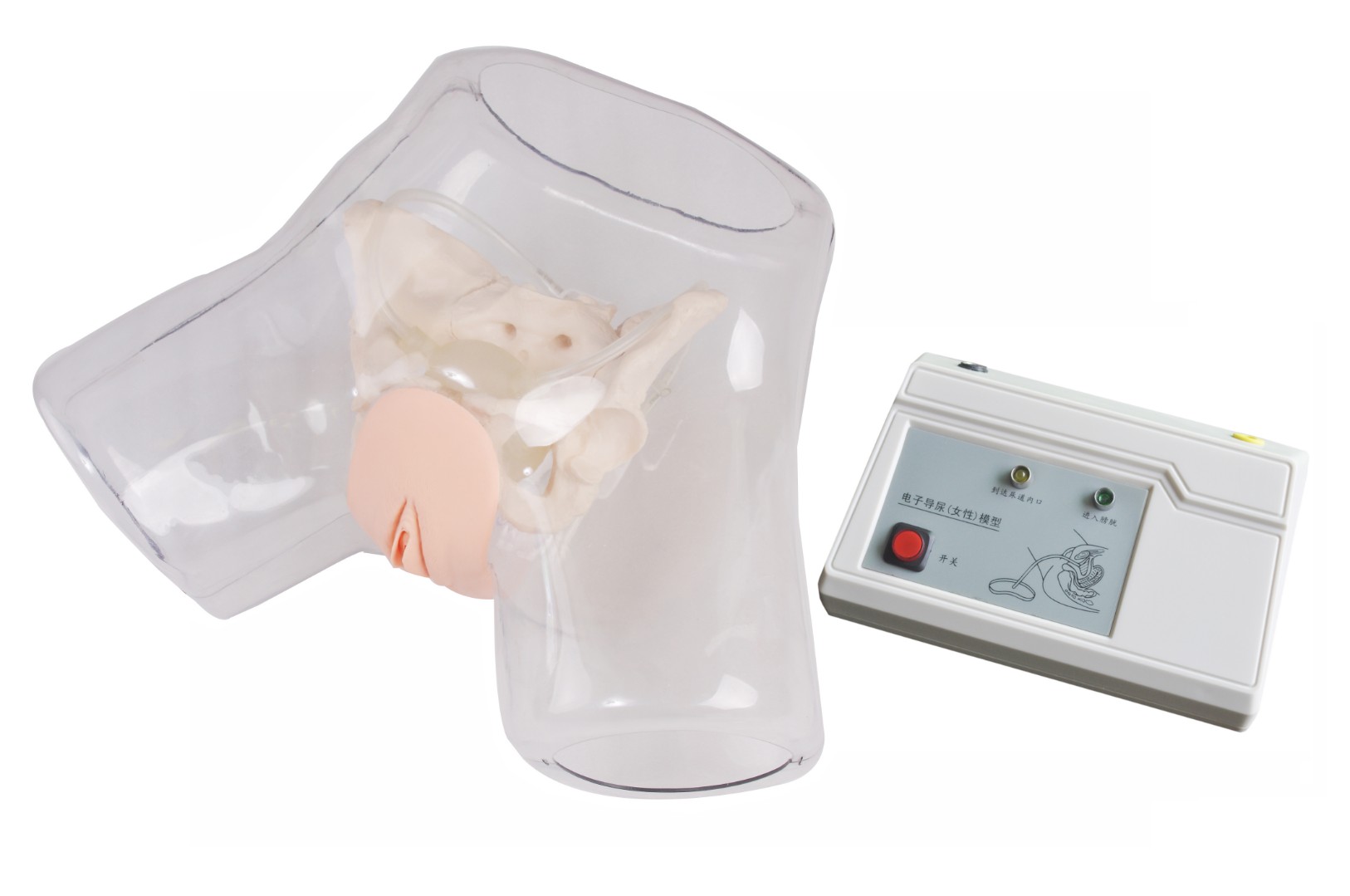 DM-NS6031A Тренажер катетеризации мочевого пузыря у женщин прозрачный с контролером