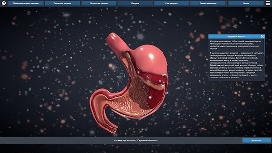 Изображение 2 товара Виртуальный программный комплекс «Строение пищеварительной системы человека»