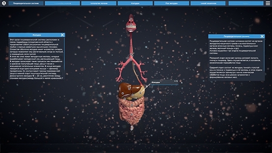 Изображение 3 товара Виртуальный программный комплекс «Строение пищеварительной системы человека»