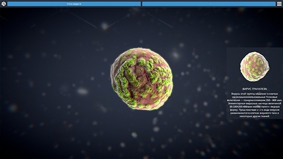 Изображение 4 товара Виртуальный программный комплекс «3D модели вирусов»